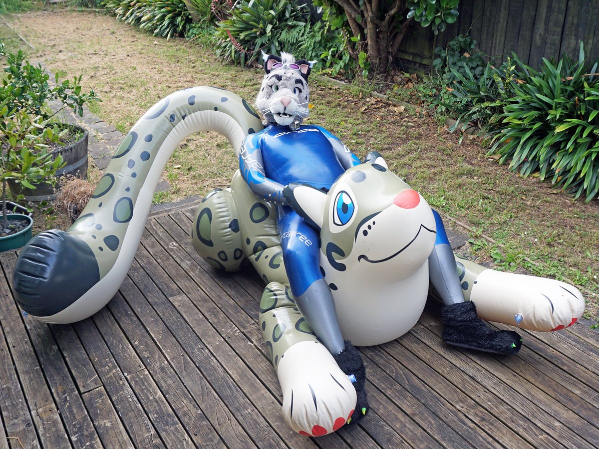 SnowSpottycats's tweet photo. Sometimes, you just wanna stretch out &amp; loaf on a nice, puffy, inflatable pool-toy out on the deck for the day~ 🥰

...while wearing "scene appropriate" gear of course! 😉

Puffy-Snep-toy: @PuffyPawsToys

#NeopreneFur #RubberFur #SqueakyFur #Fursuit
#WetsuitWednesday #WetsuitBoy https://t.co/hqkAFkGDek