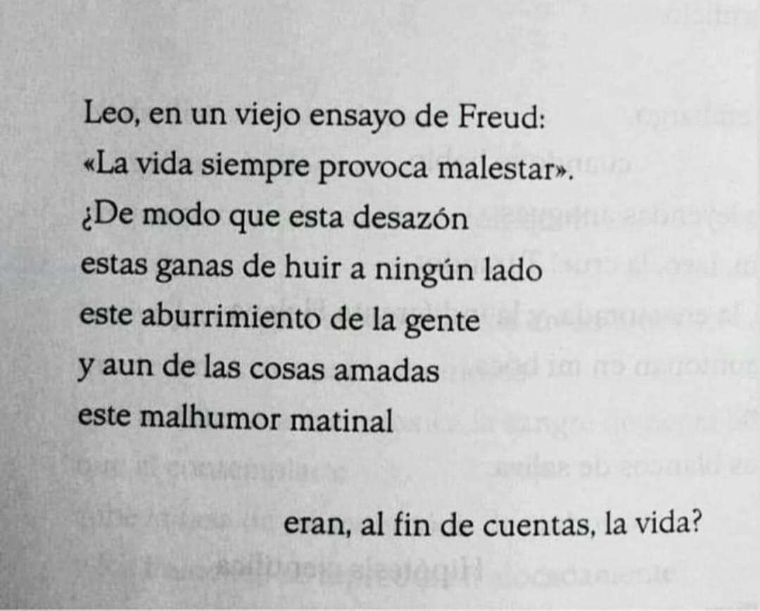 lu_ulf's tweet photo. ª https://t.co/NcHAd8le8i