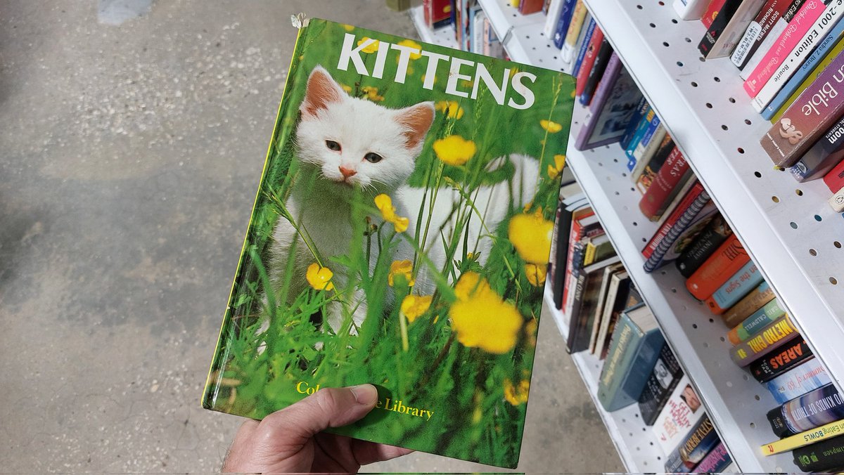 buckredbuck's tweet photo. Worst cookbook ever #cookbook #thriftstorefinds #kittens #recipe #recipes #chefbuck #cookingtips https://t.co/tMMmxV1Vdc