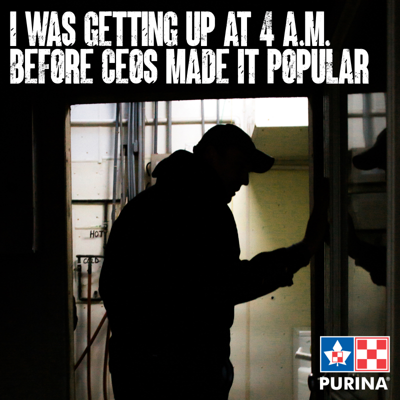 Startup founders can learn a lot from dairy farmers. Follow the link to grab your Tim Horton’s on Purina and #BringOnTheDay! app.wyng.com/622a4bcc6c8061… #ad