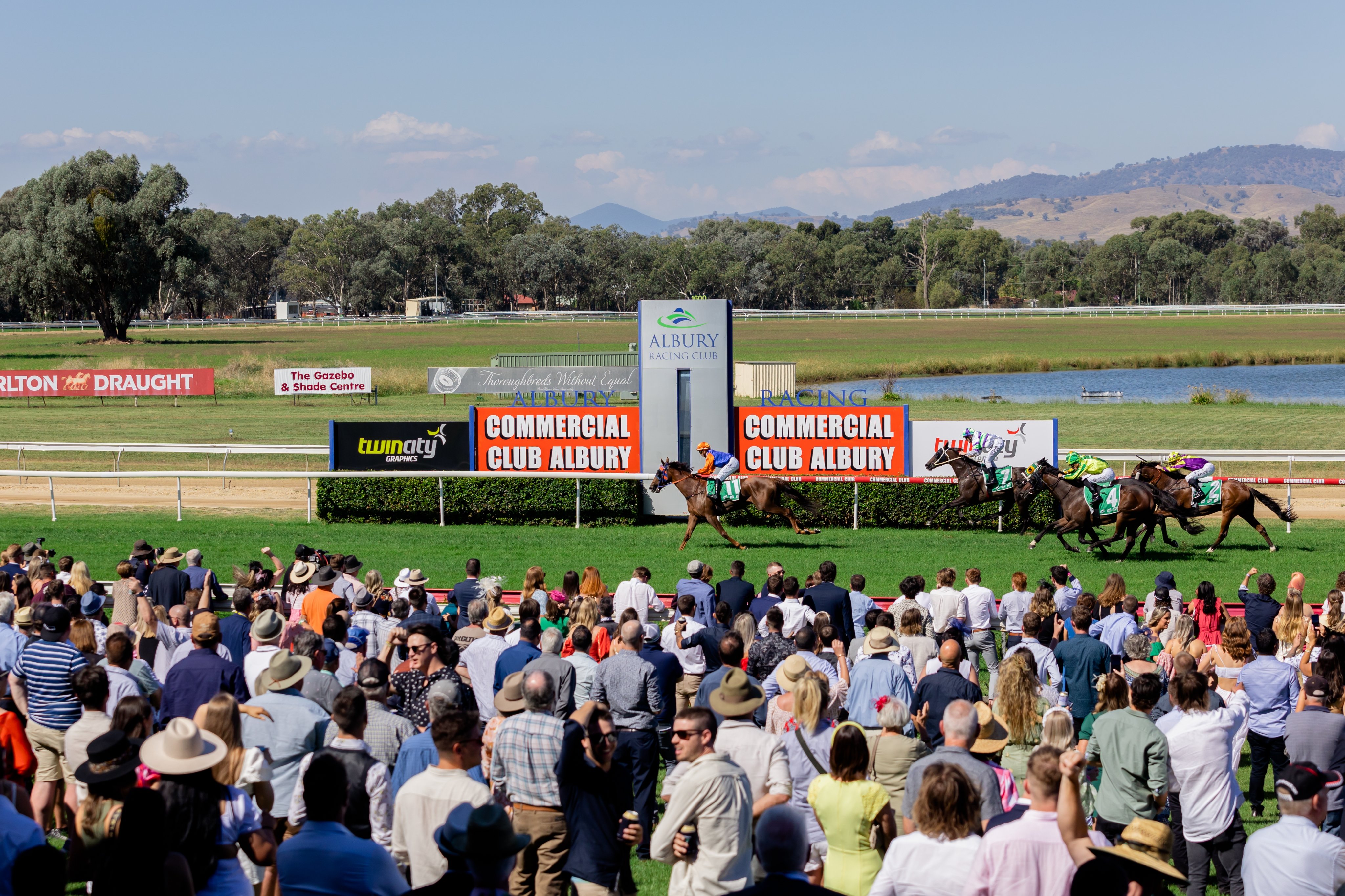 Albury Racing Club 