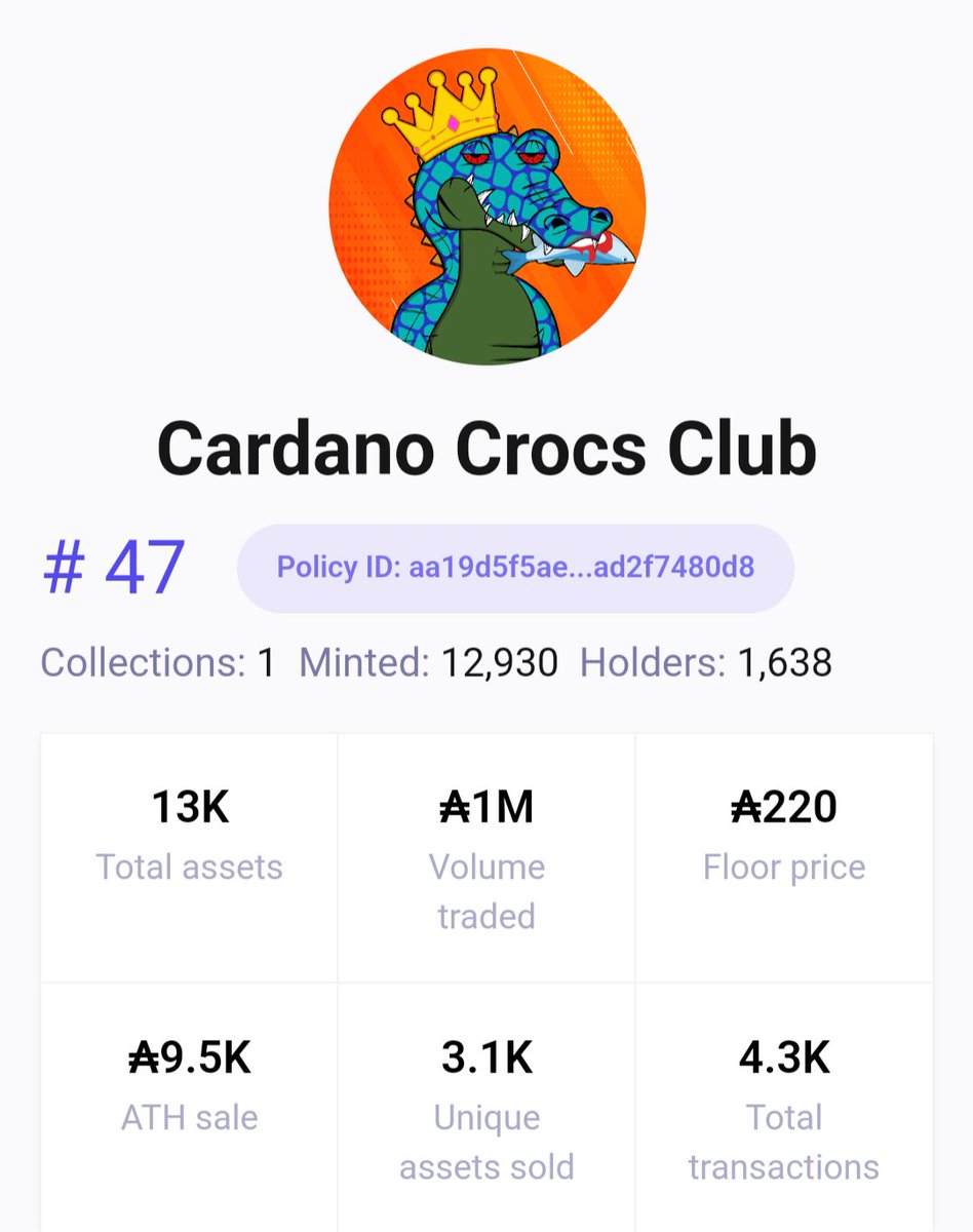 $Cian 🔆 tweet media
