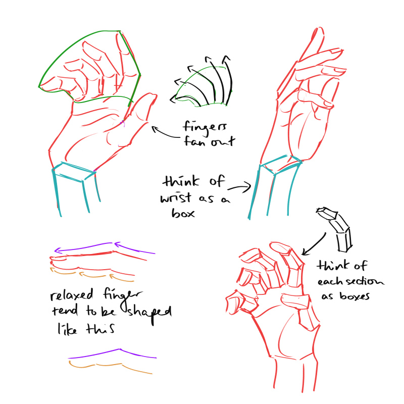 「a few drawing tips on how i draw hands✨ 」|diana🩷のイラスト