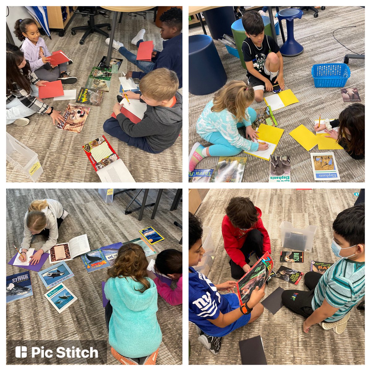 Animal book clubs are underway. These researchers are choosing subtopics they would like to investigate. 🐘🐳🦇🐺