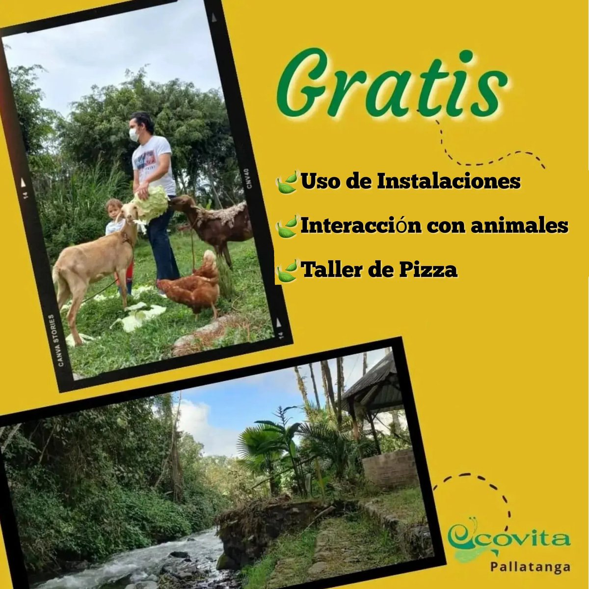 ECOVITAGROUP's tweet photo. Disfruta de lo Natural y Sencillo lejos del ruido a orillas del rio Coco - Pallatanga
Promo solo por HOY 
📲0999085226
 #ecuador #chimborazo #andesecuatorianos #travelecuador #vacaciones #viajeenfamilia #familytrip #tripecuador #trip https://t.co/37PMX5QOV9