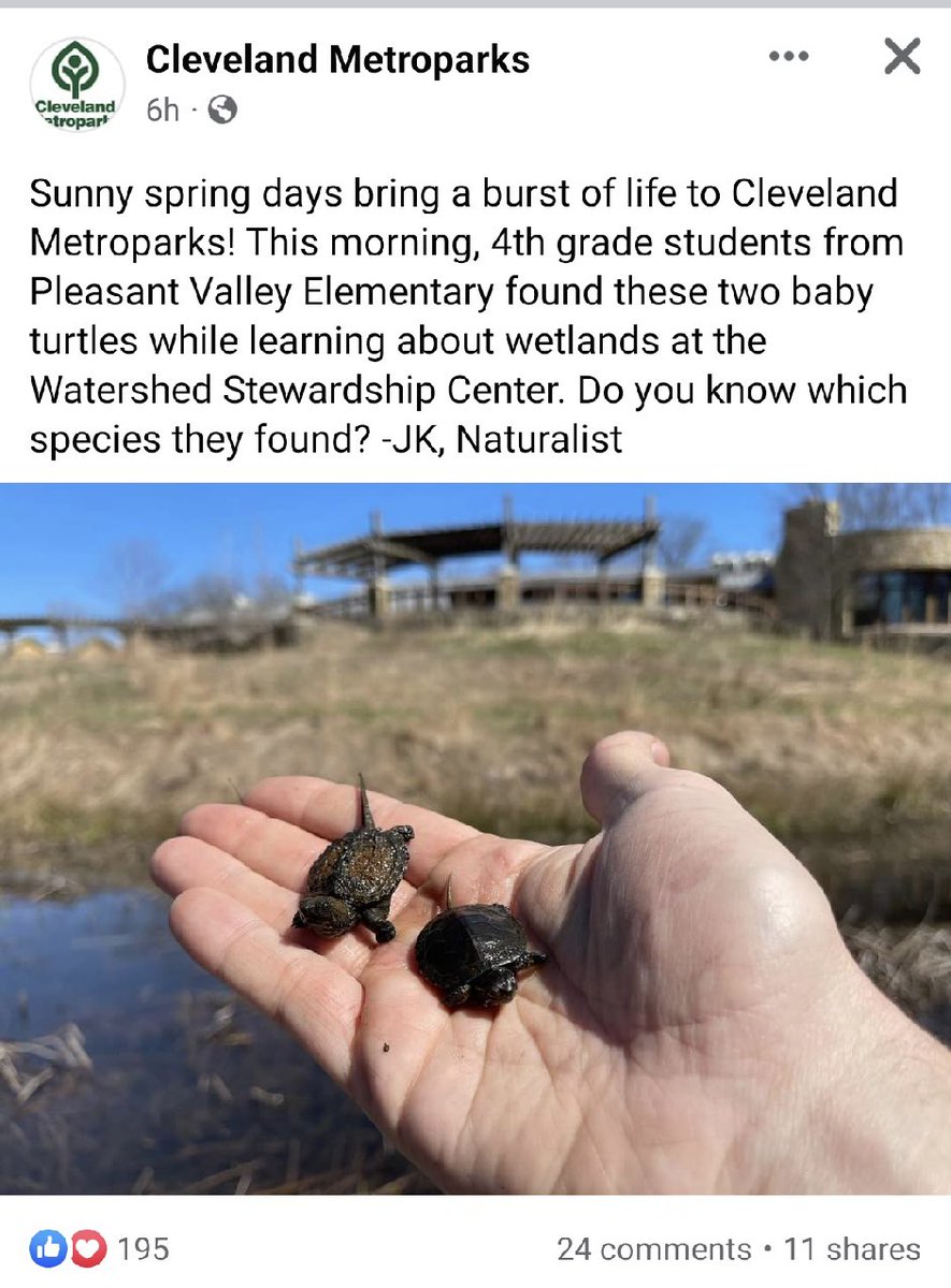 Check out what our 4th graders discovered on their field trip to the <a href="/clevemetroparks/">Cleveland Metroparks</a> today!! 🐢🐢