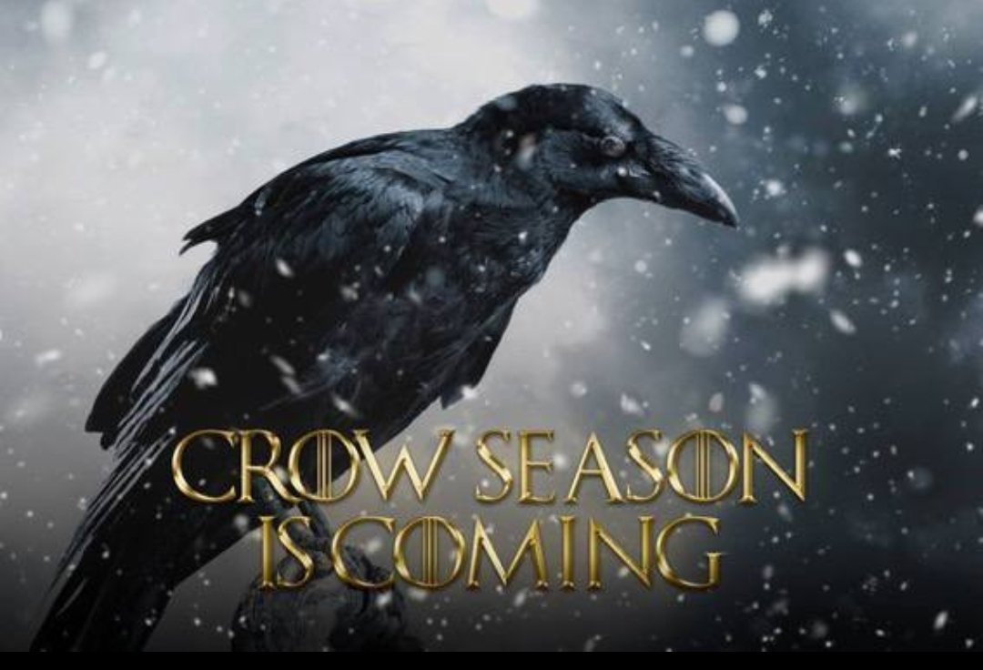 Mariuss80's tweet photo. @RobinhoodApp When @CrowCoin #cro #crow #AltcoinSeason2022 #Birdseasons #altcoin #CROGEMS #Crofam https://t.co/YJV7tvEYlq