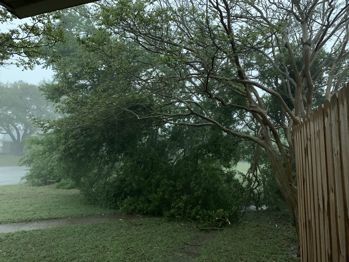 Kel_Gboat's tweet photo. Just lost a tree in my yard! #hewitttx #txwx @kwtx https://t.co/C0XEOT2eF5