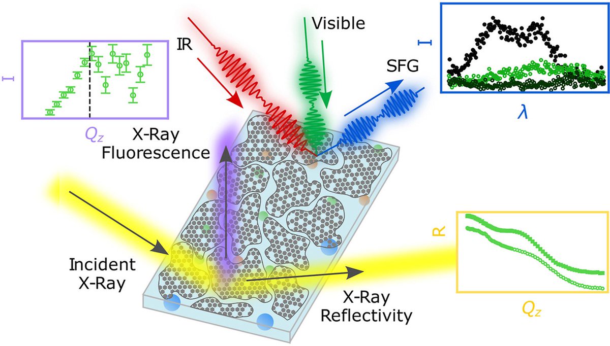 Effects of ion adsorption on graphene oxide films and interfacial water structure,by <a href="/amandajcarrphd/">Amanda J. Carr, PhD</a> and Raju Kumal is published in Carbon (@ELSchemistry). Combination of X-Ray (<a href="/advancedphoton/">Advanced Photon Source</a>) and SFG spectroscopy experiments provides a detailed picture

sciencedirect.com/science/articl…