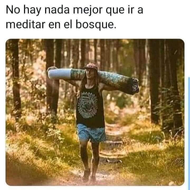 Esfinge_verde's tweet photo. La contemplación es importante 🌳

#Esfingeverde 🍁 https://t.co/9VUcYs2wmC