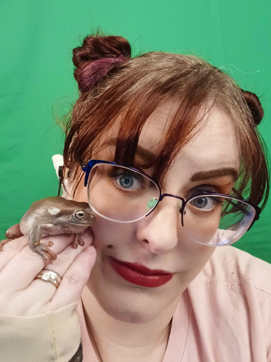 TGeekball's tweet photo. The Earth's Shadow stream is running late due to streamlabs doing an update and shitting the bed.  PC is restarting. May I offer you a frog in this trying time? https://t.co/3OAS3ehL78