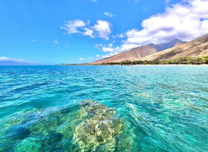 mauigoes's tweet photo. A boat ride is always great to explore the entire ocean. Have you ridden a fairy on Maui? Let us know.  #maui https://t.co/KpqjvEHSzN