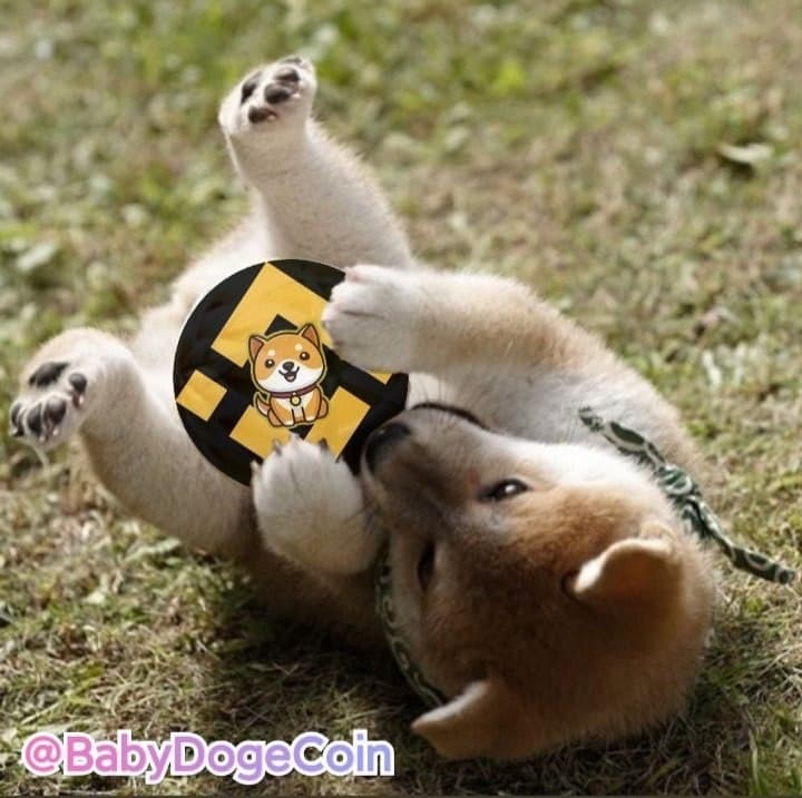 Anderso14851081's tweet photo. @BinanceUS #BabyDogeCoin https://t.co/CaGHobiLPY