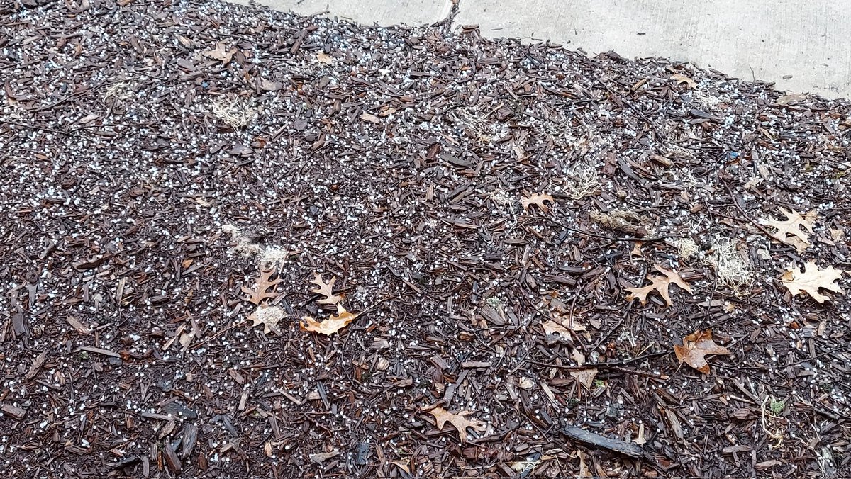 tsphil's tweet photo. Slightly smaller than pea sized hail #wiwx @NWSGreenBay https://t.co/TZ6gczPfdL