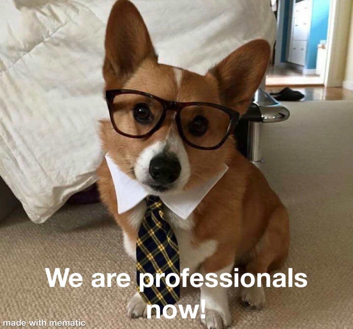 NFT_Corgis's tweet photo. Alright weโve rebranded where them institutional investors atโฆ
#FantomProfessional #Rebrand $FTM $LQDR #LQDRv3 https://t.co/xTNiMRNZKP