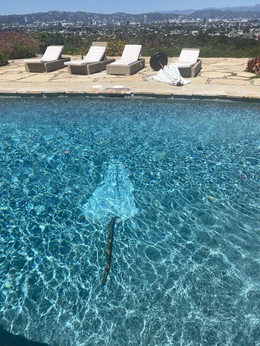 The_PinkPepper's tweet photo. I guess I’m swimming today… 🌬🍃💦#mandown #pepperproblems https://t.co/VKde1KdphQ