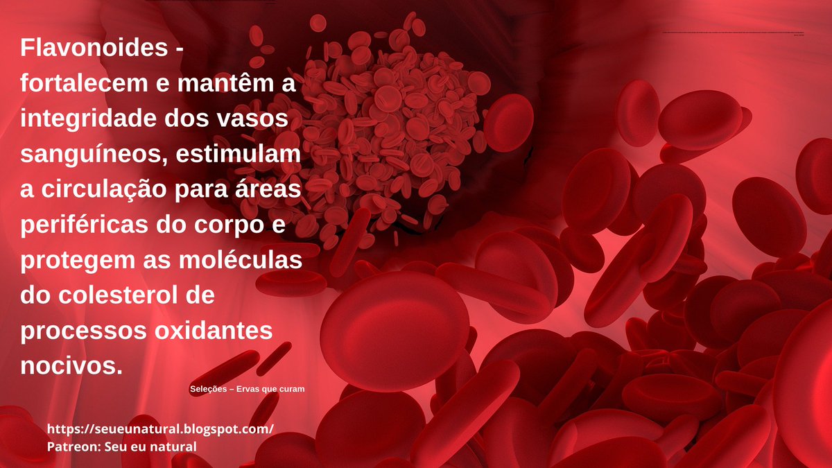 #metabolismo #sernatural #contatocomanatureza #remedionatural #flavonoides #vasossanguineos