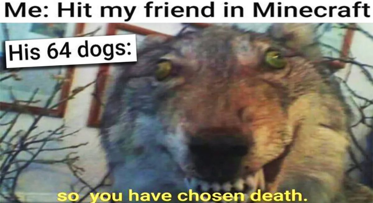 itsakevintown's tweet photo. Save me. #Memes #memesdaily https://t.co/AL452rZWct