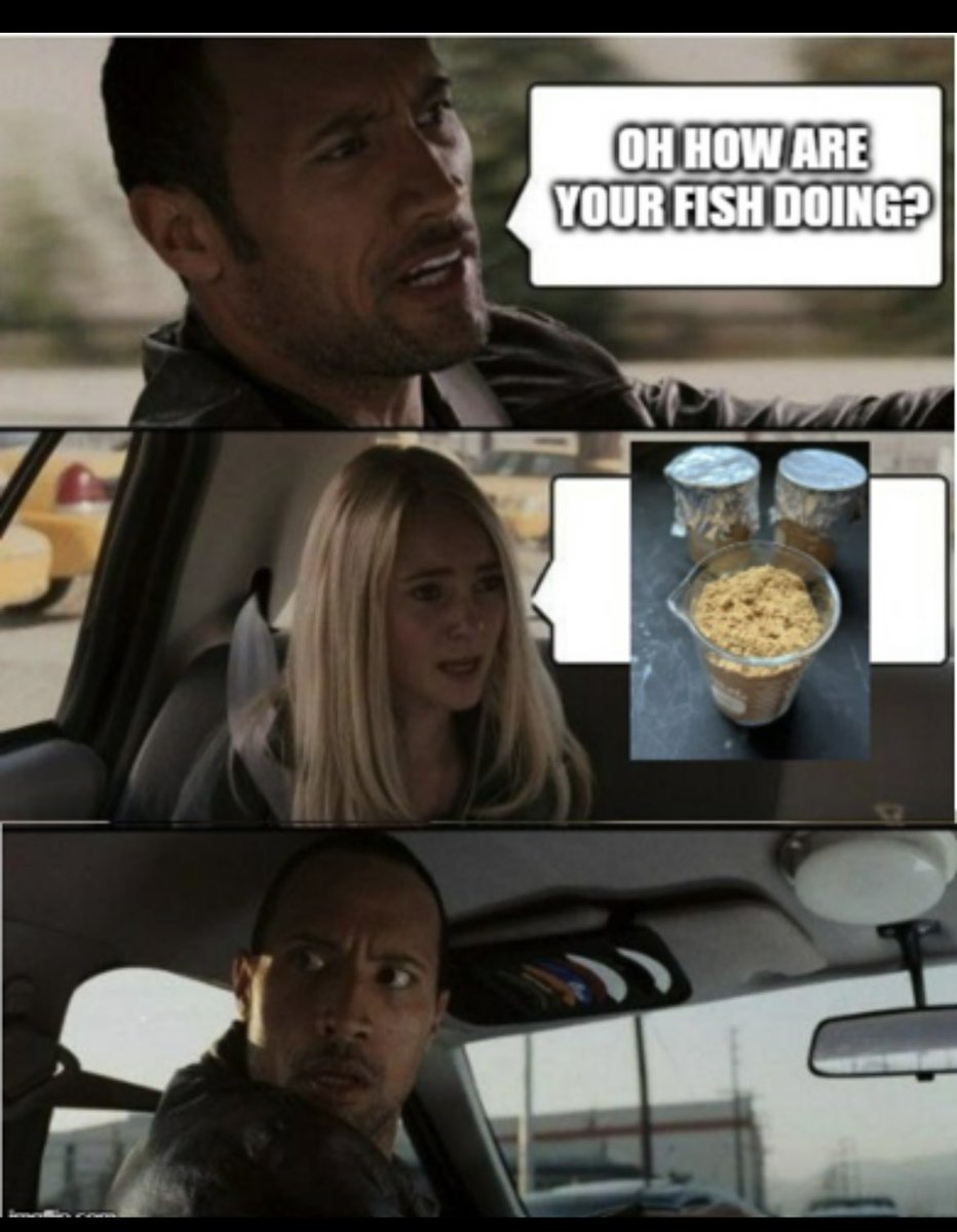 Me talking to anyone outside of my lab...