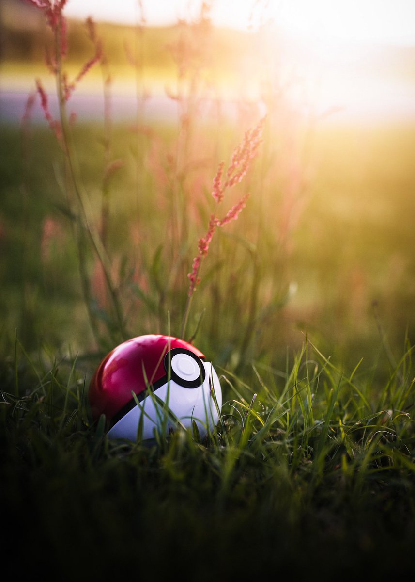 nostalgiacult's tweet photo. You’re about to go on an adventure!

Tag the person who’s coming with you for a chance to win the cards that came inside this pokeball!

📸: @willoliver https://t.co/qT9SVUcpYE