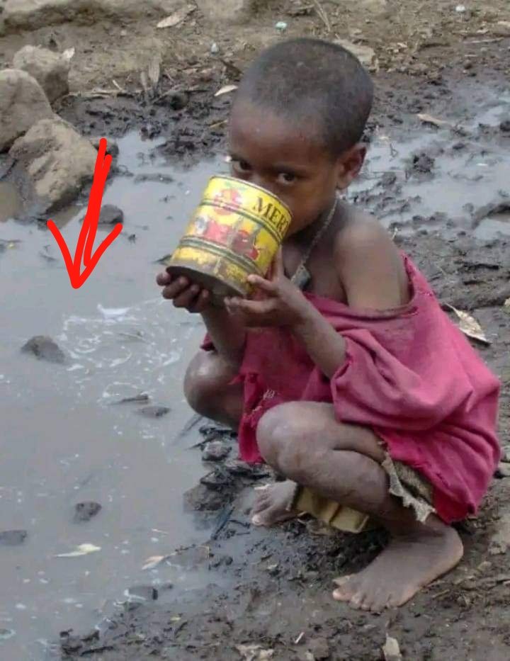 Alimedabdu's tweet photo. The atrocities being committed by #TPLF against the #Afar people today have been silenced by all parties. 
@afitz3105 @HermelaTV @tjftrojer @kontiem @hrw @amnestyusa
Thanks for all who are trying to tell reality of #Afar people to the world. https://t.co/J8pVZLdDzy