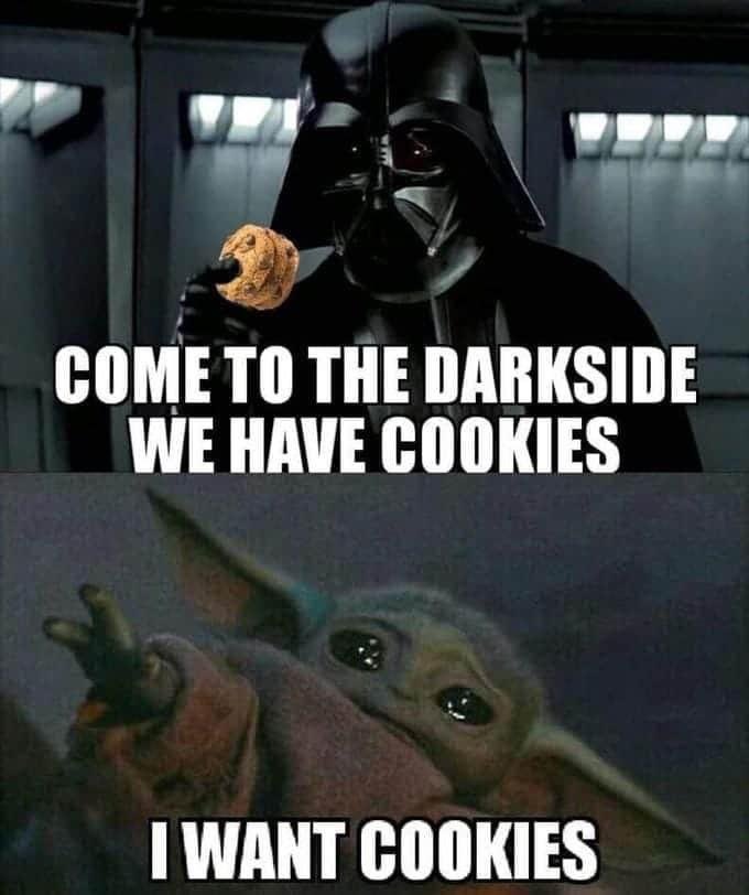 ciaomichaella's tweet photo. This reminds me of a #WMCC2022 moment featuring 🐐 @NiklasEdin 😜 #cookiesftw 🍪 https://t.co/8X7OIpZlzc