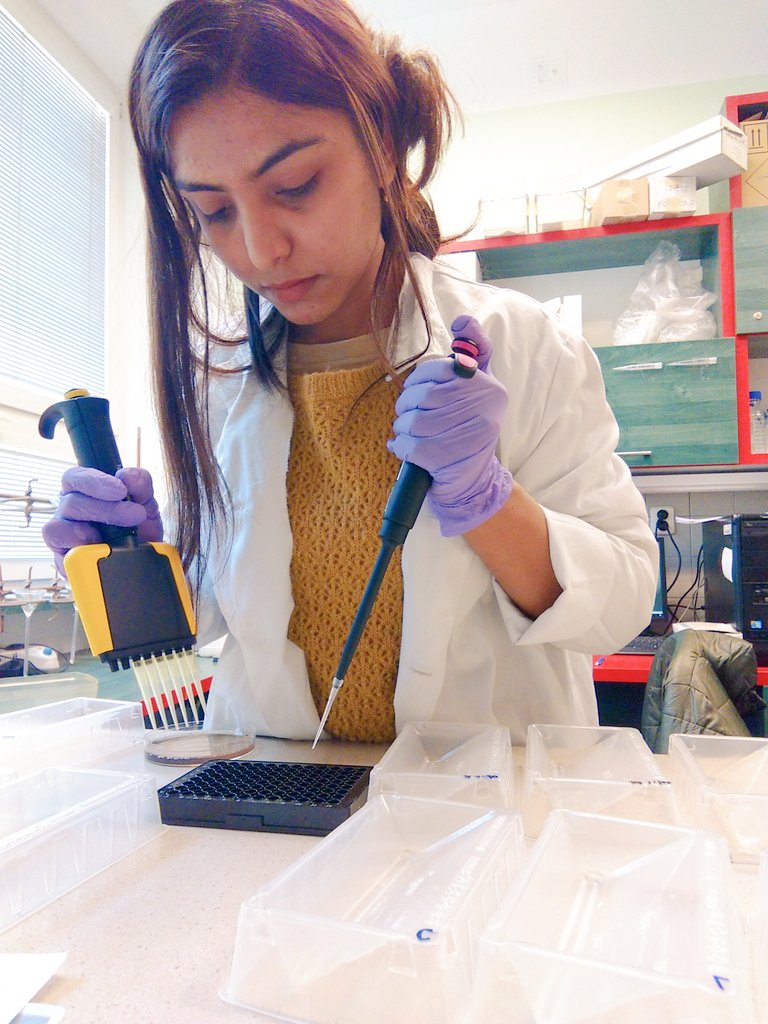 zubda_zahid's tweet photo. Perks of being a researcher ❤️
@FEMSmicro
 @SoilScience
#CZU #myweapons https://t.co/jK0NrCxKf1