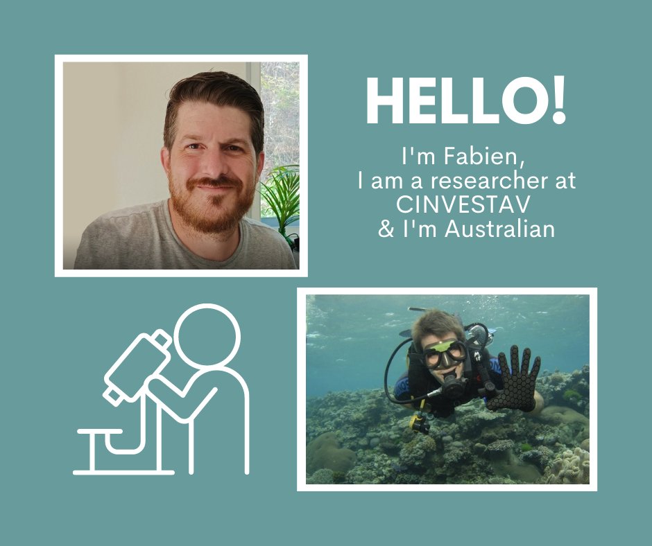 AusEmbMex's tweet photo. Meet Fabien 👋, he's a researcher 🔎 👨‍💻 at CINVESTAV and he's an Australian 🇦🇺 in Mexico 🇲🇽.
#AussiesInMexico
@FabienPlisson @langebiomx @CinvestavIra 
https://t.co/o0Qh1jGdIC https://t.co/kpRp7lUcvJ