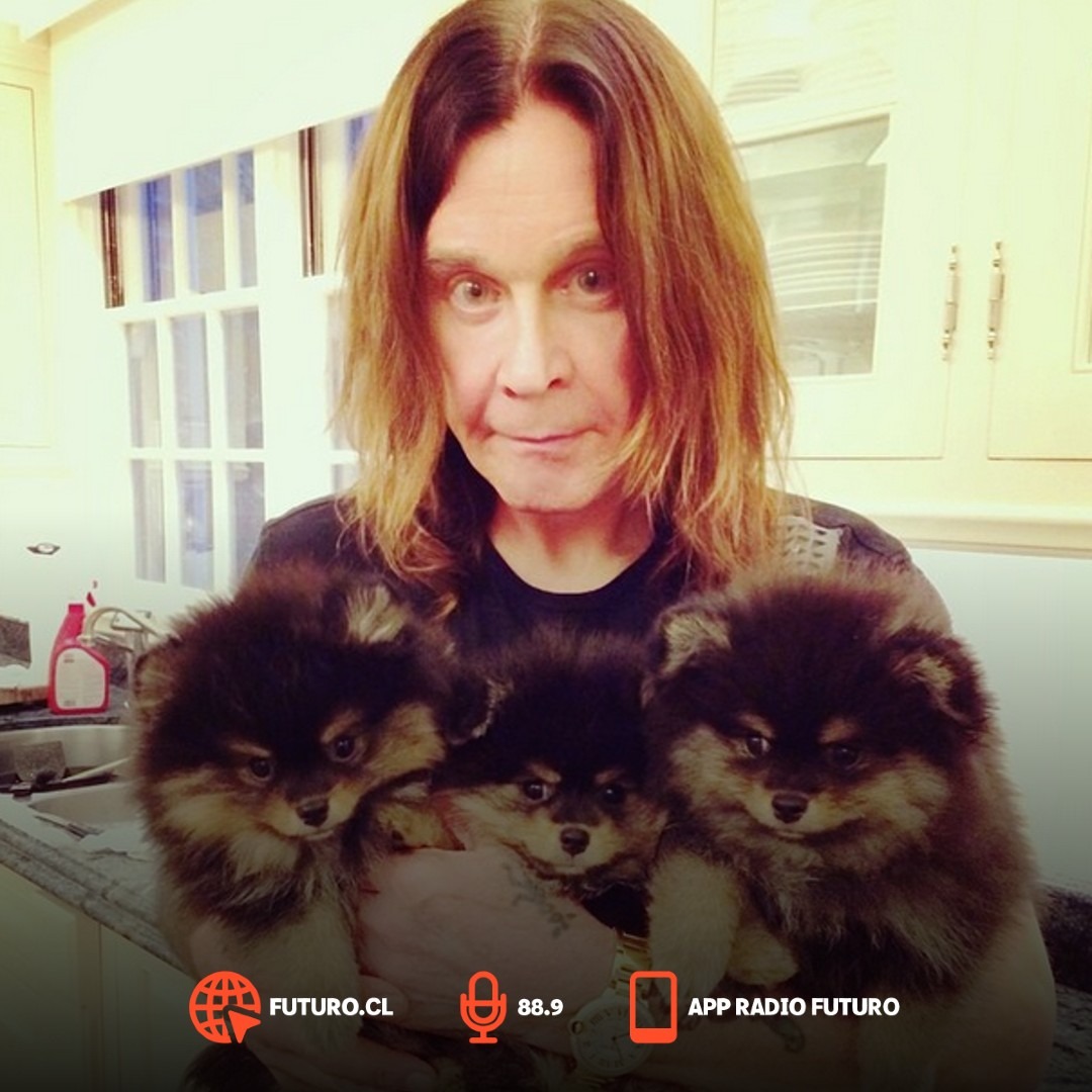 A propósito de la constelación de grandes invitados que tendrá el nuevo disco de Ozzy Osbourne, ¿si pudieras armar un disco perfecto, a quiénes invitarías? Comenta en el #FalloDividido de #LaLeyDelRock con <a href="/Vikingeli/">Matilda Svensson</a> y <a href="/cuevaspato/">Pato Cuevas</a> bit.ly/3zhKP9Z