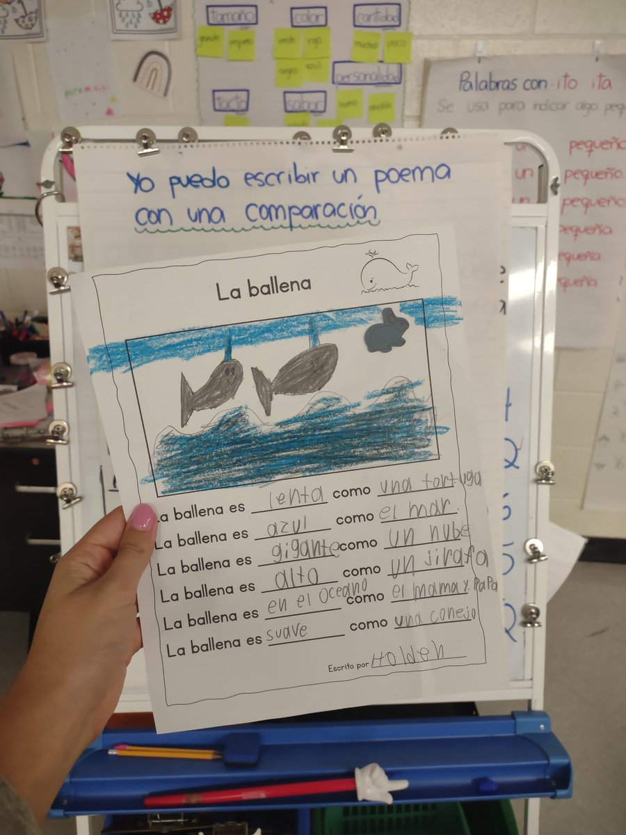 Ms_DelCastillo's tweet photo. I couldn't be more proud of my kiddos 🥺❤️ here are some of their writing master pieces! Poema "La Ballena" 🐳

@IreneZamoraSoto 
@ParticipateLrng 
@CabCoSchools 
@WolfMeadowElem https://t.co/wNRpvGLBBv
