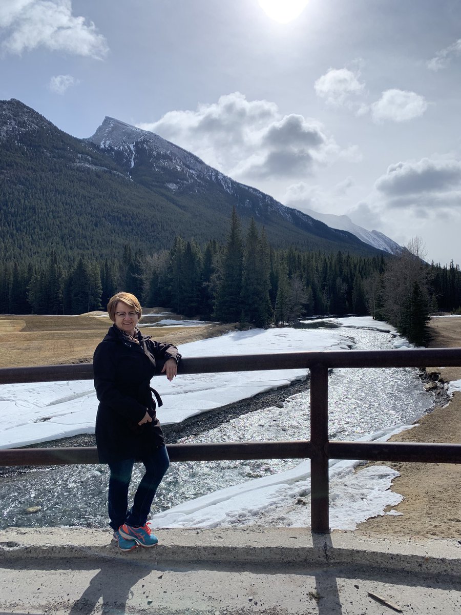 Kim Carson tweet media