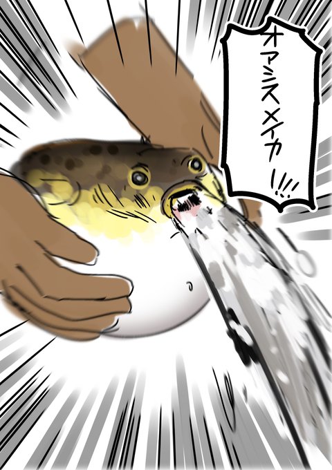 #何度でも見てほしいお気に入りを貼るタグ 
