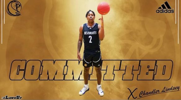 Chandler Lindsey tweet media