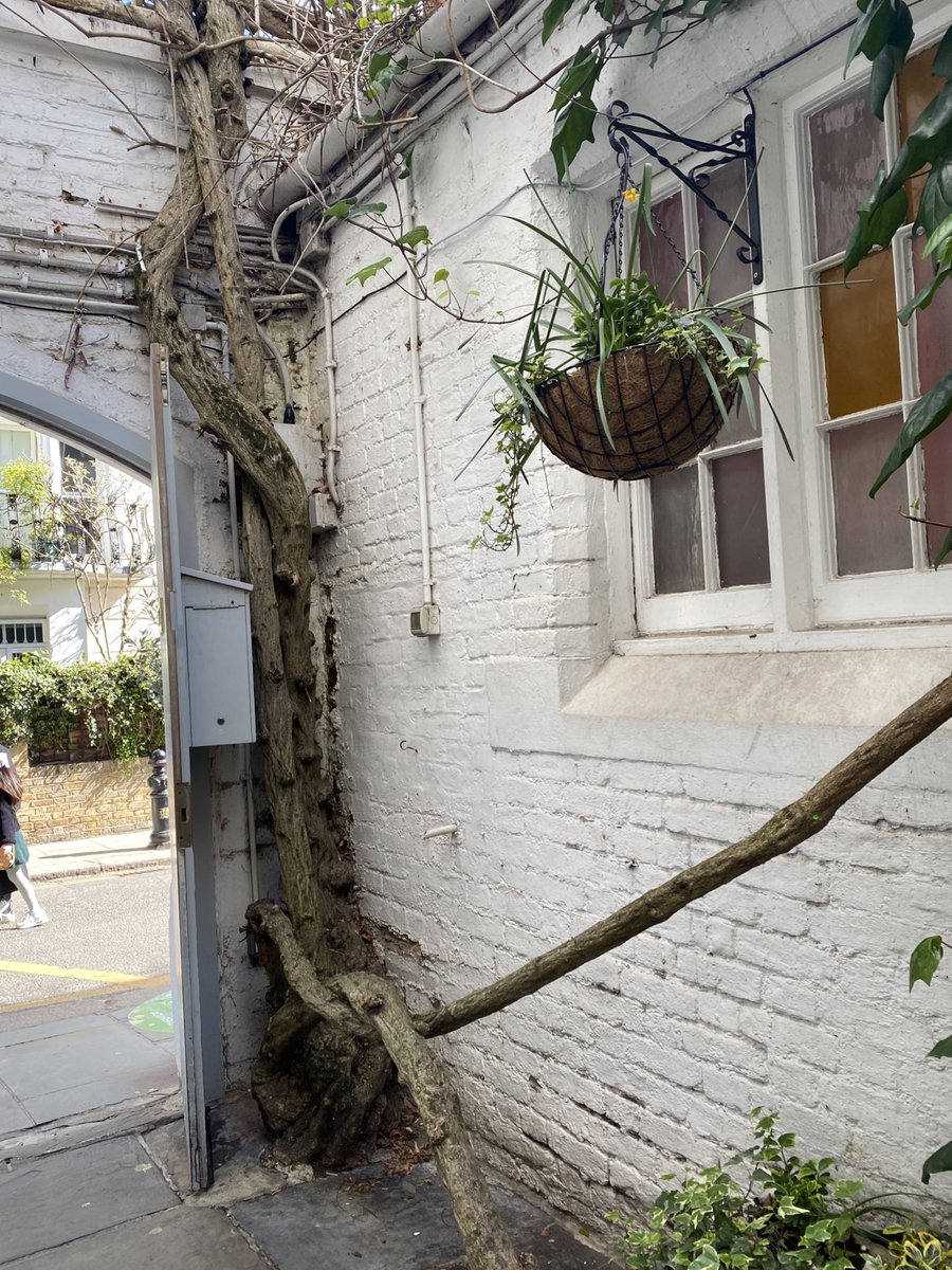 ynapcy's tweet photo. cutest little cafe https://t.co/1yu5FbyLn1