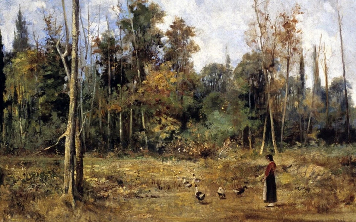 CroquiDeLuz tweet media