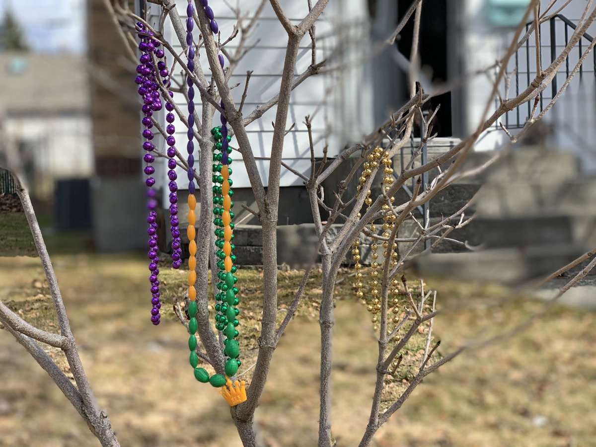 orbitmothership's tweet photo. This is a little dogwood tree I planted to honor my husband. He died 6 yrs ago today. I’m a native New Orleanian and this is Michael’s bead tree. Grief feels like a wet blanket today. #beadtree https://t.co/ZTJ940TMPm