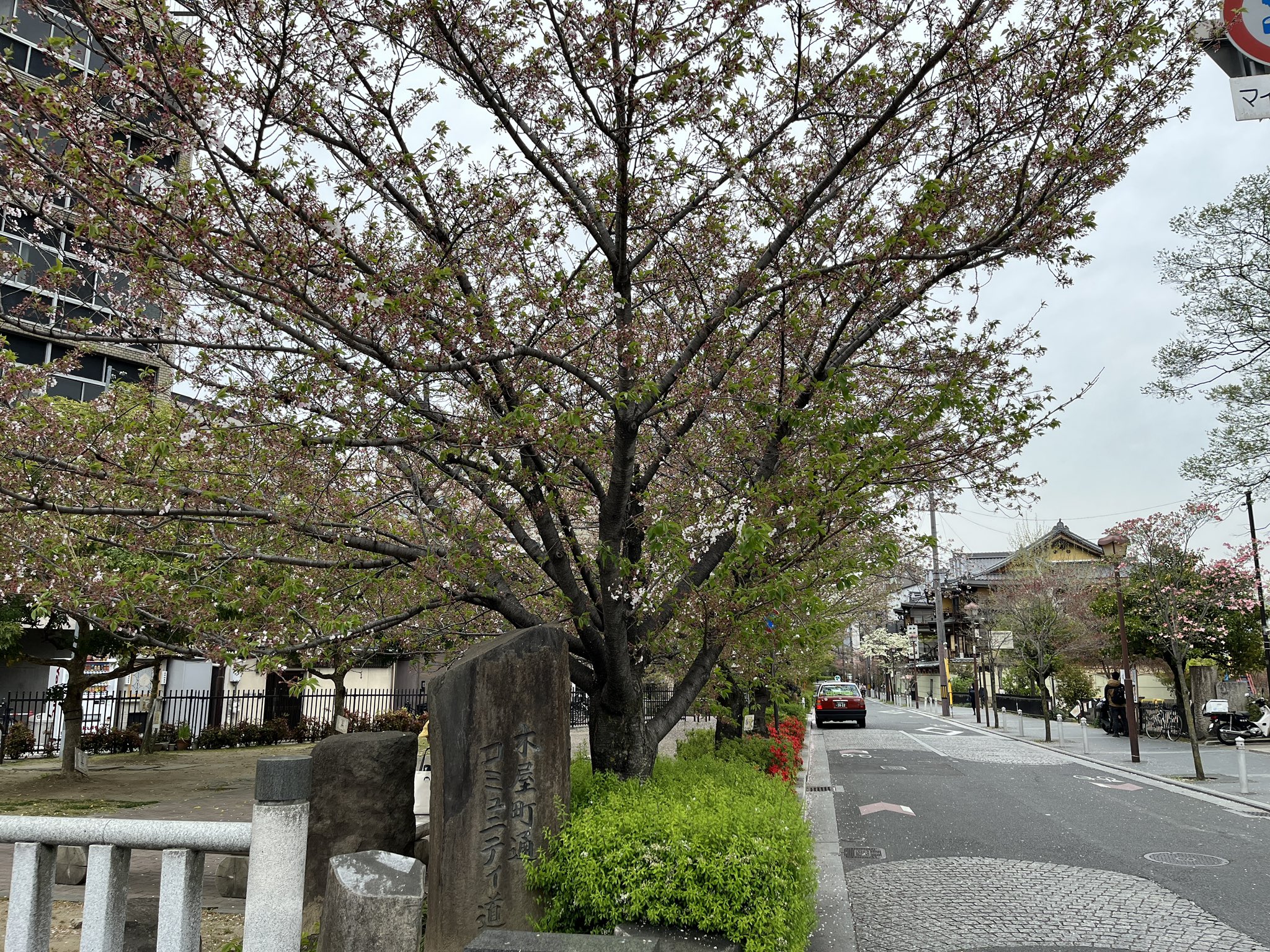 京都の歩き方 (@SAMURAIguide) / X