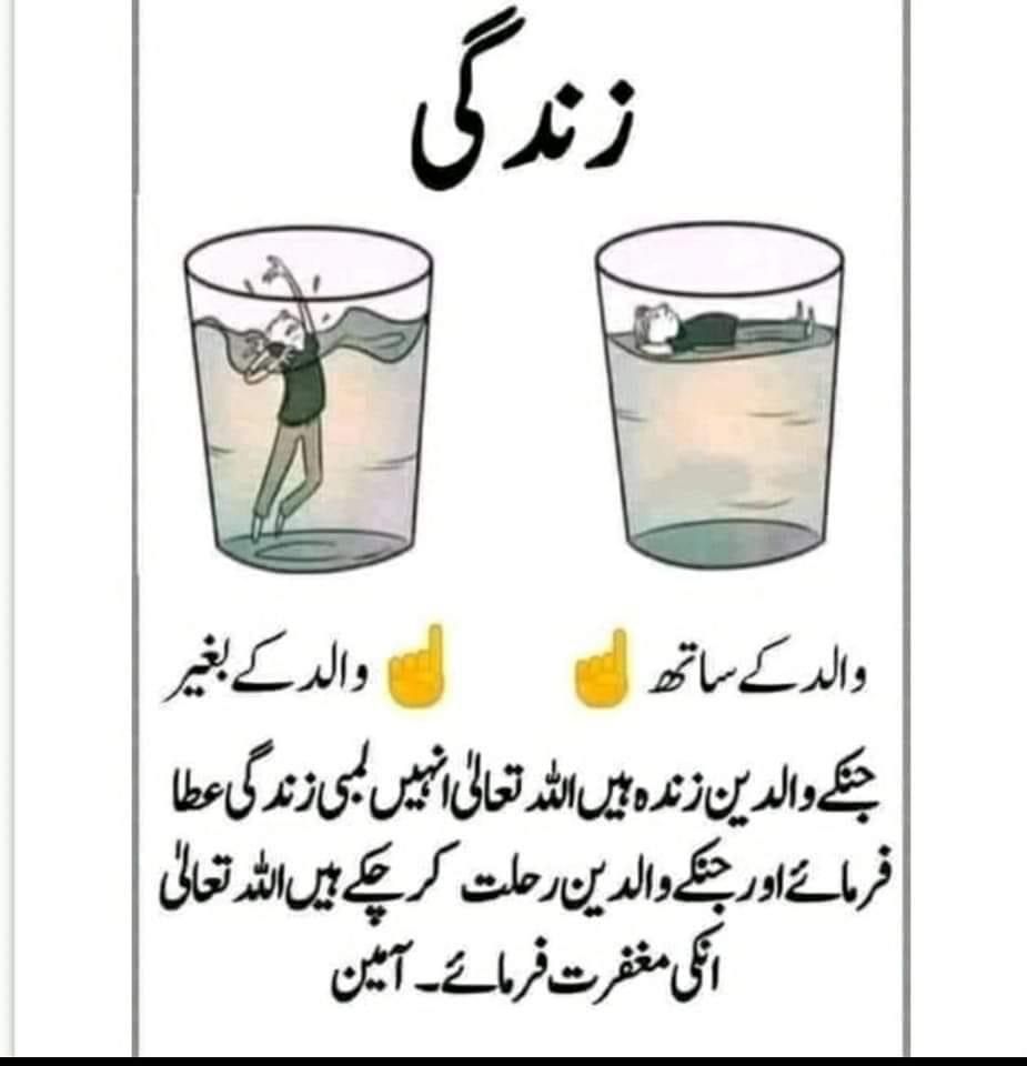 mfaraz021's tweet photo. https://t.co/nYwgSXqFpT