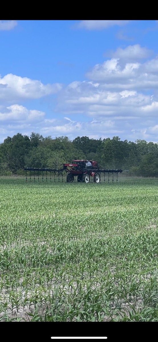 Sidhu_Agronomy's tweet photo. Moved to our second on-farm demonstration farm side-dressing N with Miller ‘High Boy’. Precision N application within 2 inches from the plant reducing potential losses and improved uptake. Learn more @nfrec_sv @ufifasnfrec #PrecisionAg #NitrogenMgmt #WaterQuality https://t.co/pR0aWRUfTM