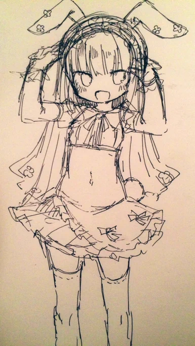 ウサギ 