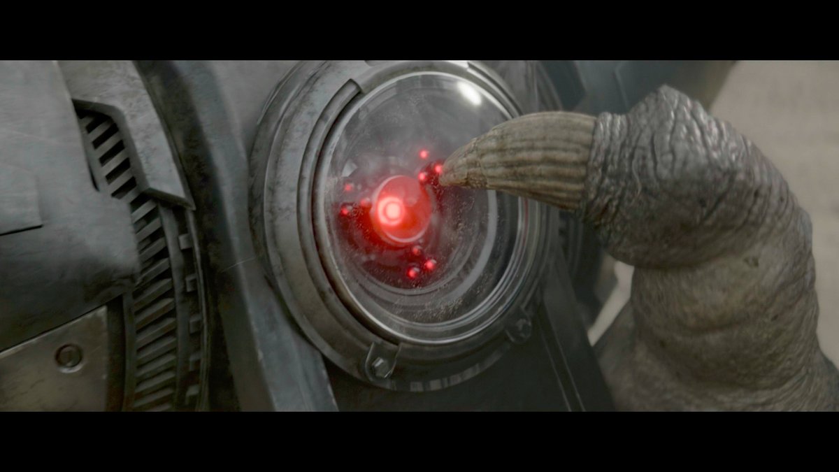 MarkHawk tweet media