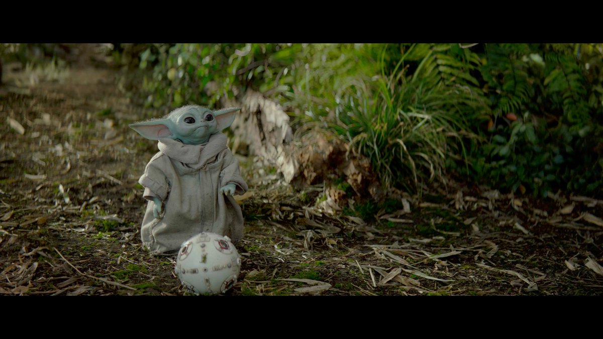 MarkHawk tweet media