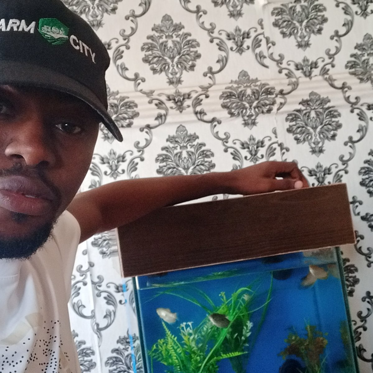 FarmcityU's tweet photo. Acquire valid skillset, building Aquariums and bubble walls amongst others. 
Here's a fair window into Interior decor. 

Chat us via 07038476547

*Farmcity' Aquaspectral* 
*Farmcity ®* https://t.co/yTh8Zs3Xoj