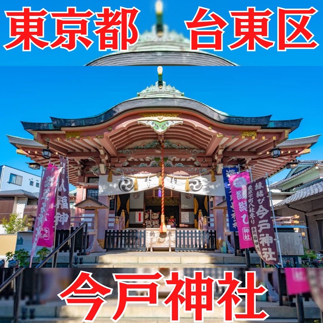 spiriate's tweet photo. 東京都台東区に鎮座する今戸神社は招き猫発祥の地として人気の神社⛩

また、今戸焼き発祥の地でもあるようです！

境内には可愛い白猫もいました😄

#スピリエイト https://t.co/EUSh9Y3yDP