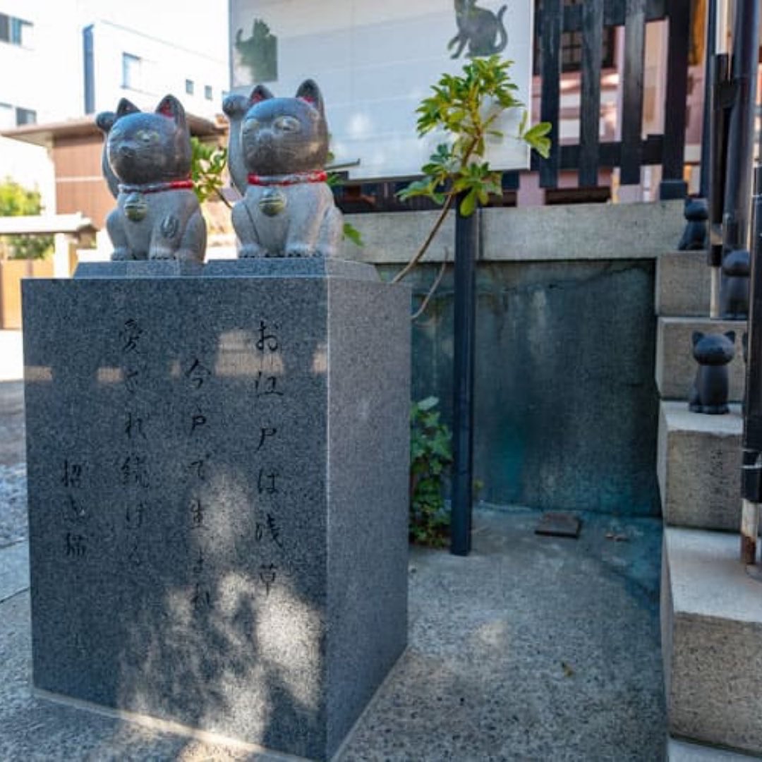 spiriate's tweet photo. 東京都台東区に鎮座する今戸神社は招き猫発祥の地として人気の神社⛩

また、今戸焼き発祥の地でもあるようです！

境内には可愛い白猫もいました😄

#スピリエイト https://t.co/EUSh9Y3yDP