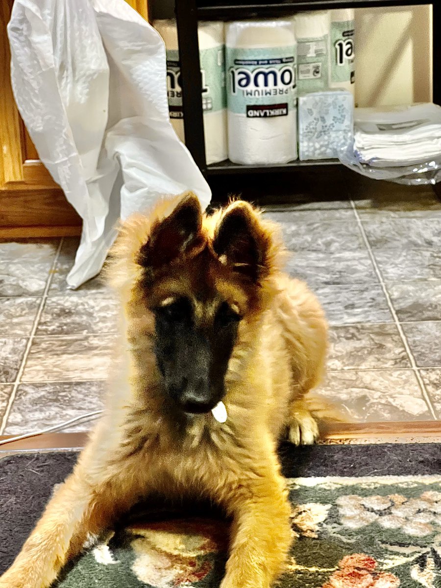 patricenm's tweet photo. Almost as cute as #SmileyMiley 💓💓💓 https://t.co/4q3FwJPFGM