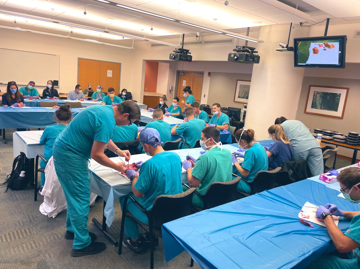 Emily Teeter, MD, FASE tweet media