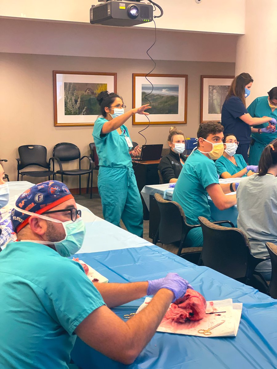 Emily Teeter, MD, FASE tweet media