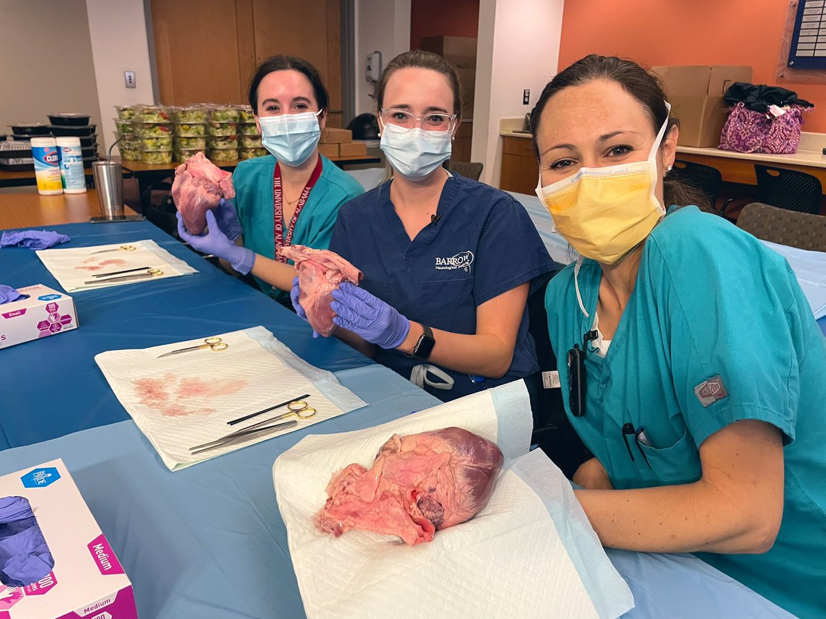 Emily Teeter, MD, FASE tweet media