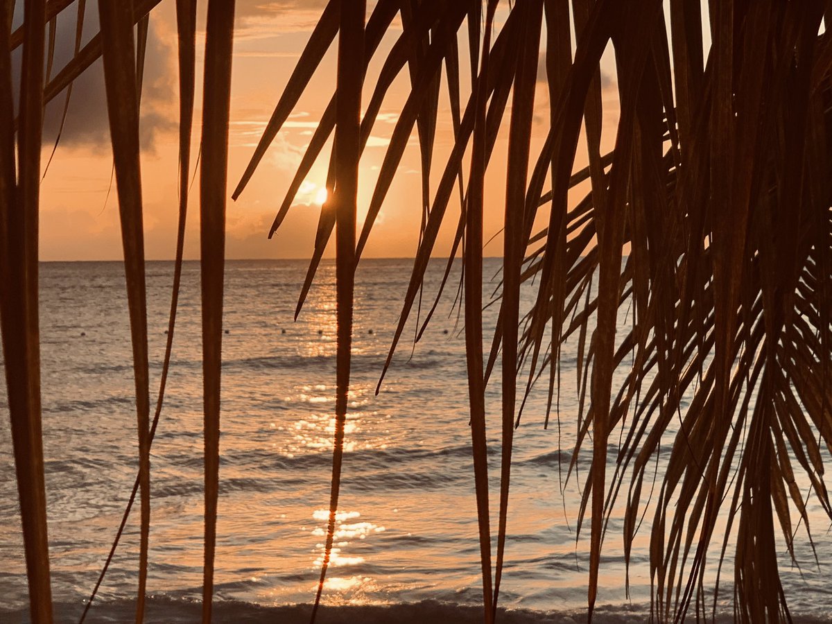 aleyachatto's tweet photo. @piya Just down the beach and probably an hour earlier https://t.co/49zVSFv1z9